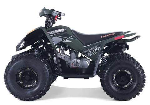 2025 Denago Powersports Trailhawk 10FI in Vestal, New York