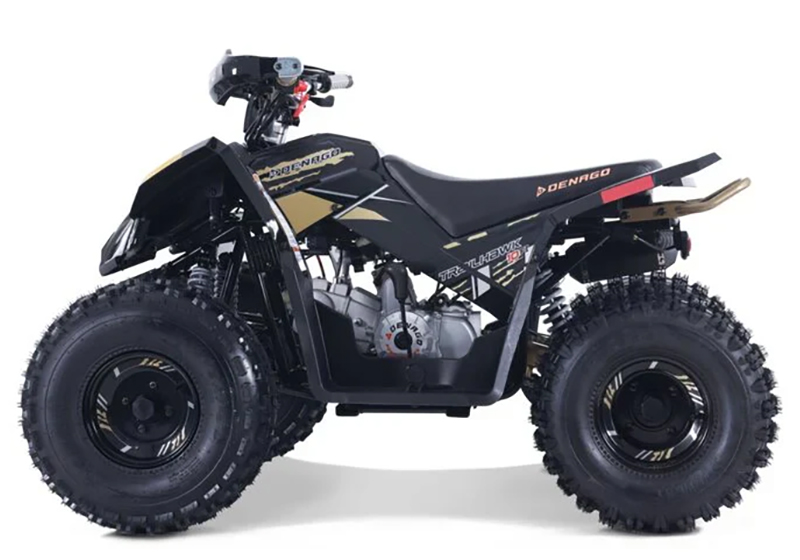 2025 Denago Powersports Trailhawk 10FI in Vestal, New York - Photo 1