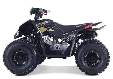 2025 Denago Powersports Trailhawk 10FI in Vestal, New York - Photo 1