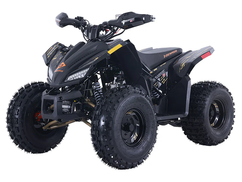 2025 Denago Powersports Trailhawk 10FI in Vestal, New York - Photo 2