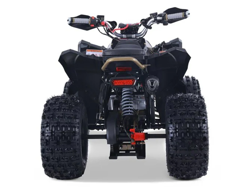 2025 Denago Powersports Trailhawk 10FI in Vestal, New York - Photo 3