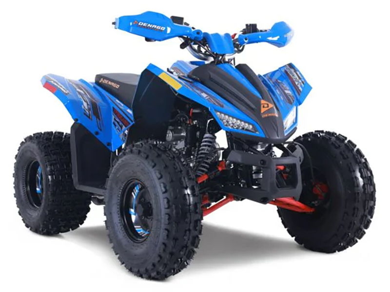 2025 Denago Powersports Trailhawk 10FI in Vestal, New York - Photo 2