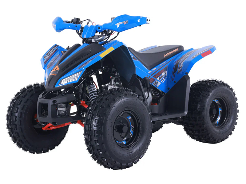 2025 Denago Powersports Trailhawk 10FI in Vestal, New York - Photo 3