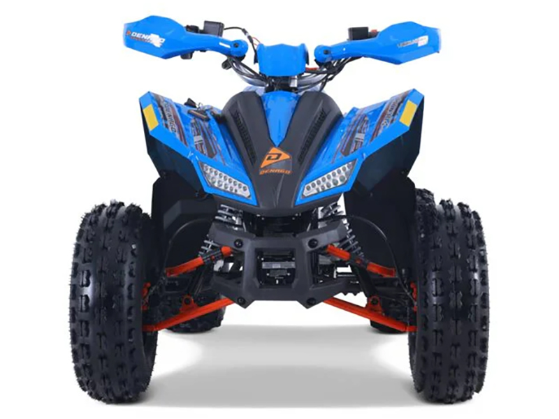 2025 Denago Powersports Trailhawk 10FI in Vestal, New York - Photo 4