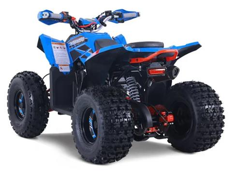 2025 Denago Powersports Trailhawk 10FI in Vestal, New York - Photo 5