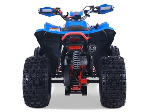 2025 Denago Powersports Trailhawk 10FI in Vestal, New York - Photo 6