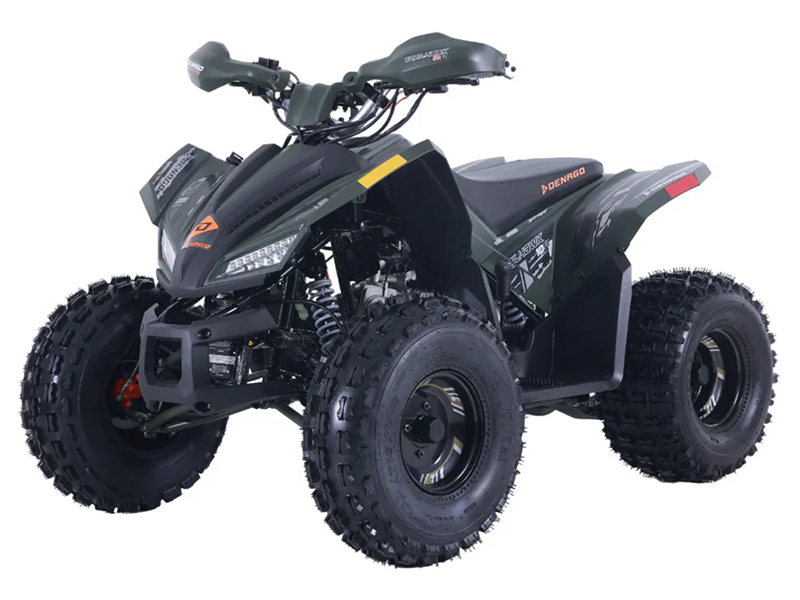 2025 Denago Powersports Trailhawk 10FI in Vestal, New York - Photo 2
