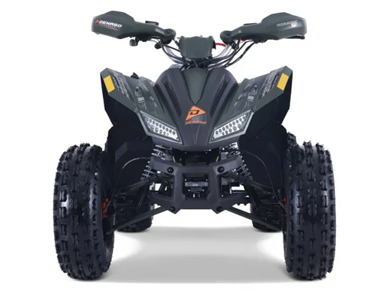 2025 Denago Powersports Trailhawk 10FI in Vestal, New York - Photo 3