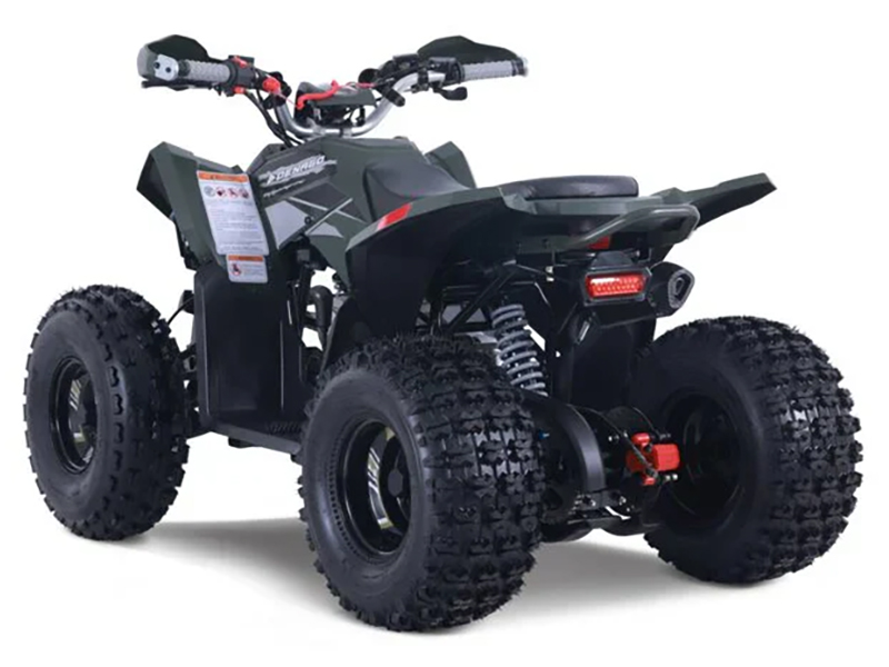 2025 Denago Powersports Trailhawk 10FI in Vestal, New York - Photo 4