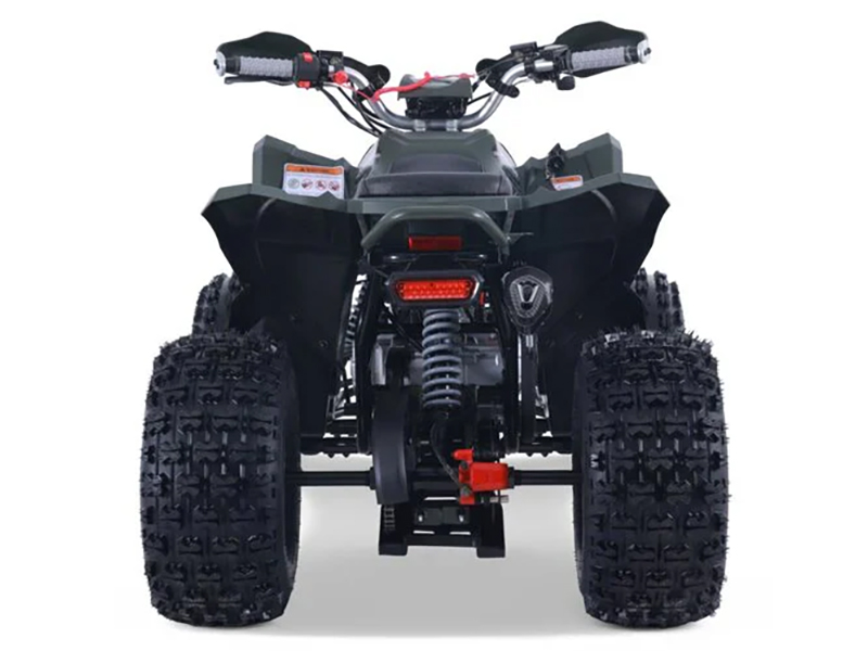 2025 Denago Powersports Trailhawk 10FI in Vestal, New York - Photo 5