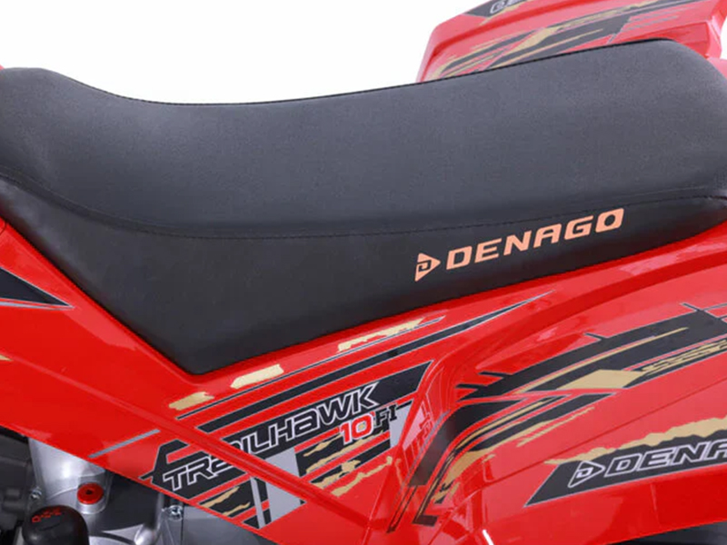 2025 Denago Powersports Trailhawk 10FI in Vestal, New York - Photo 9