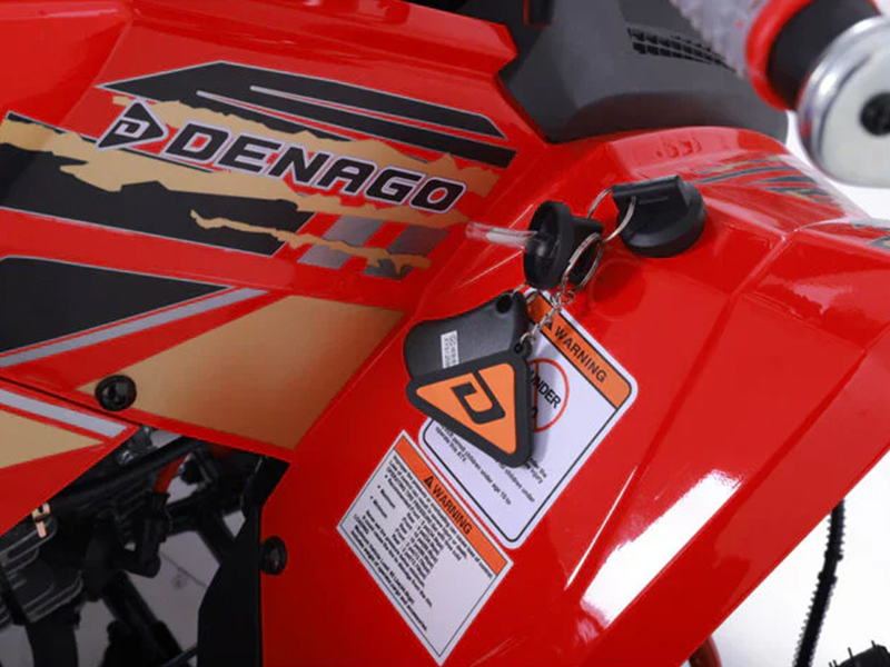 2025 Denago Powersports Trailhawk 10FI in Vestal, New York - Photo 14