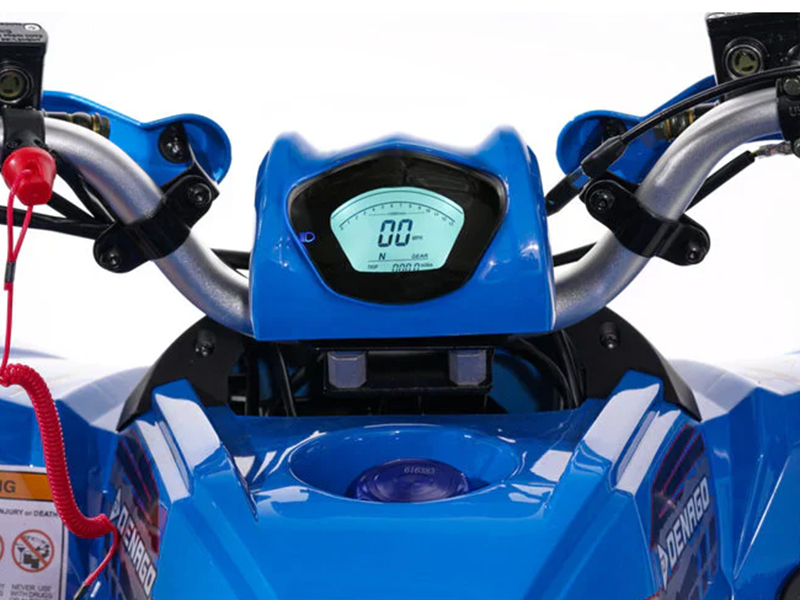 2025 Denago Powersports Trailhawk 10FI in Vestal, New York - Photo 15