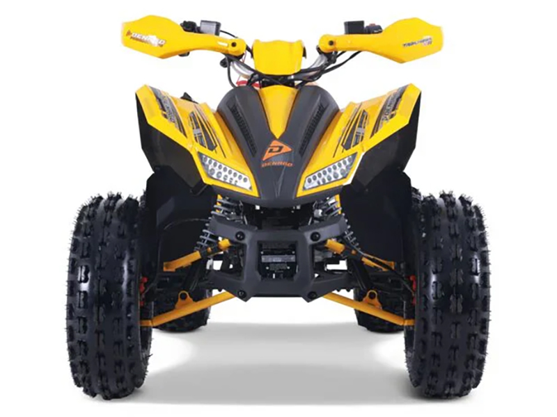 2025 Denago Powersports Trailhawk 10FI in Vestal, New York - Photo 4