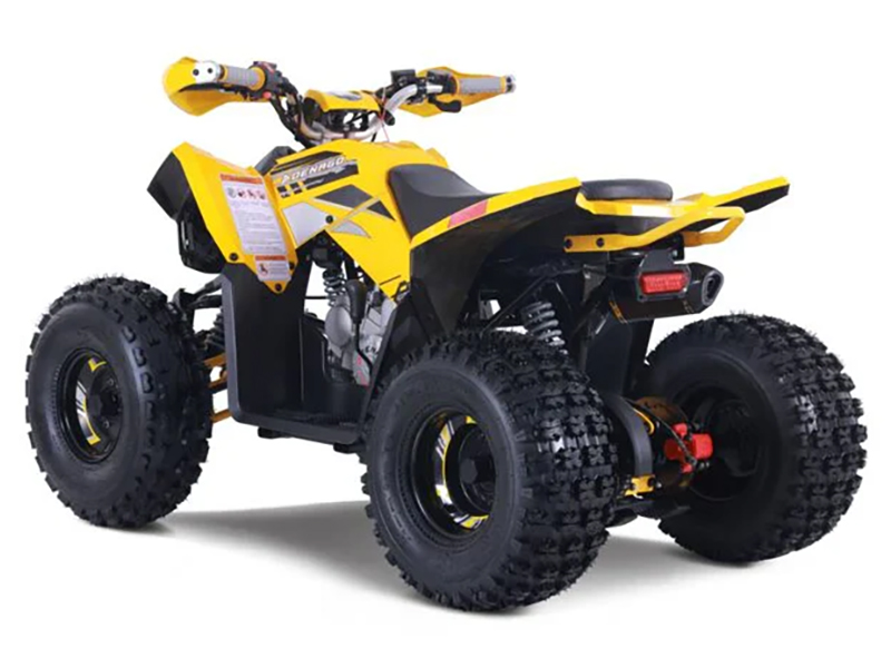 2025 Denago Powersports Trailhawk 10FI in Vestal, New York - Photo 5