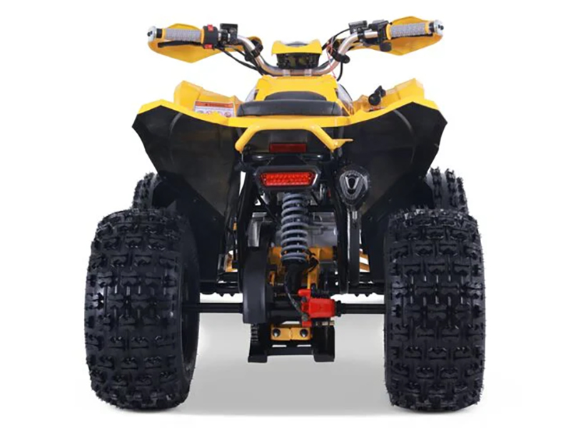 2025 Denago Powersports Trailhawk 10FI in Vestal, New York - Photo 6