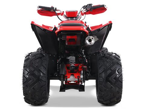 2025 Denago Powersports Daytona 250 FI in Vestal, New York - Photo 8