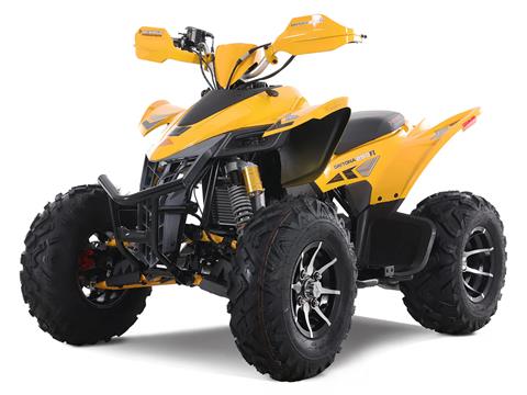 2025 Denago Powersports Daytona 250 FI in Vestal, New York - Photo 4