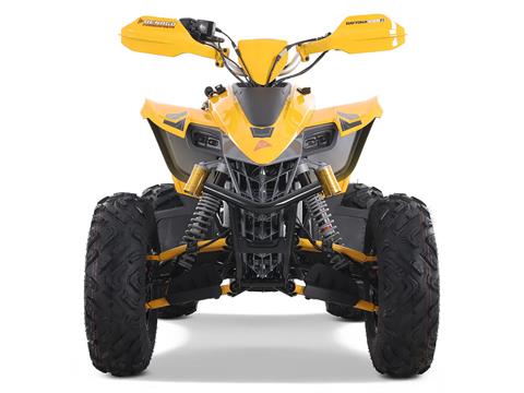 2025 Denago Powersports Daytona 250 FI in Vestal, New York - Photo 5
