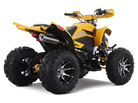 2025 Denago Powersports Daytona 250 FI in Vestal, New York - Photo 6