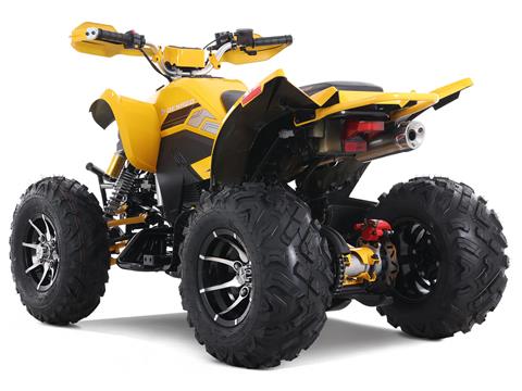 2025 Denago Powersports Daytona 250 FI in Vestal, New York - Photo 7