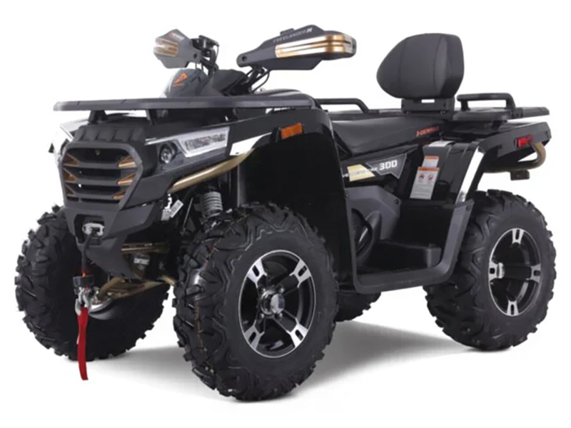 2025 Denago Powersports Freelander 300FI in Vestal, New York - Photo 2