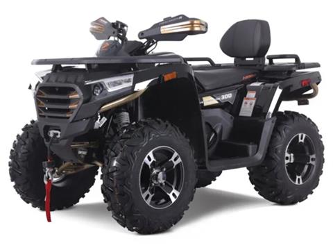 2025 Denago Powersports Freelander 300FI in Vestal, New York - Photo 2