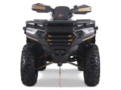 2025 Denago Powersports Freelander 300FI in Vestal, New York - Photo 3