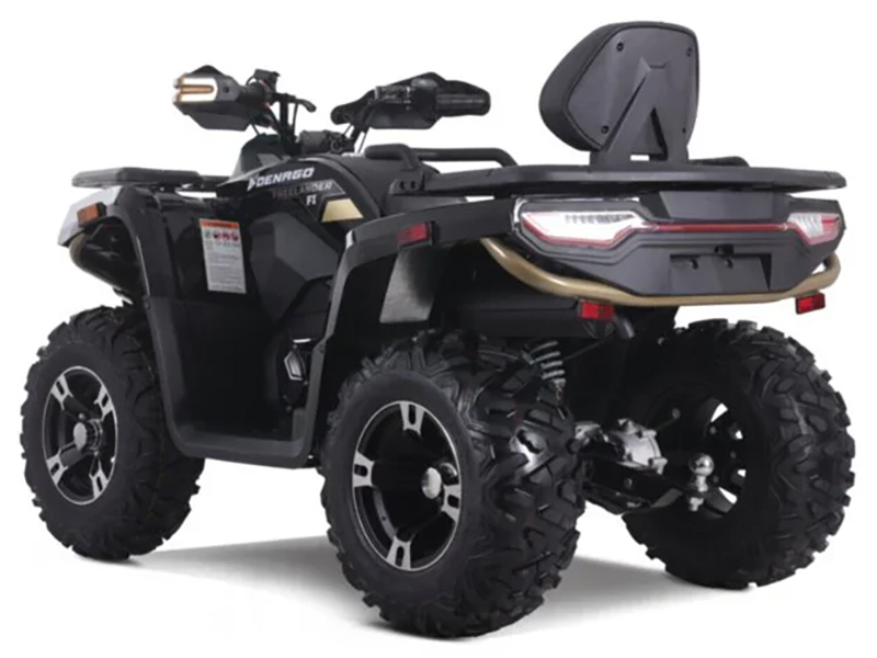 2025 Denago Powersports Freelander 300FI in Vestal, New York - Photo 5