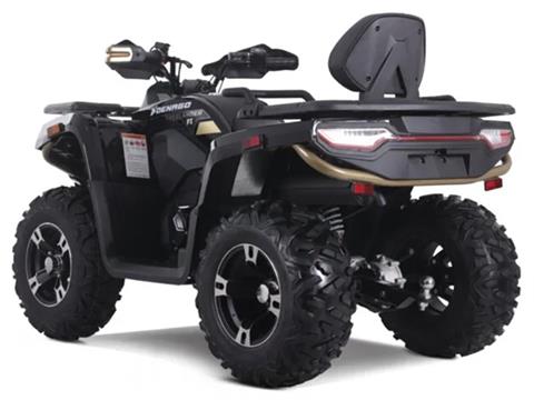2025 Denago Powersports Freelander 300FI in Vestal, New York - Photo 5