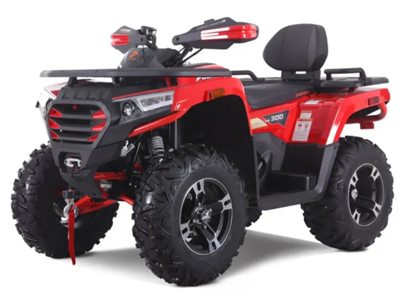 2025 Denago Powersports Freelander 300FI in Vestal, New York - Photo 2