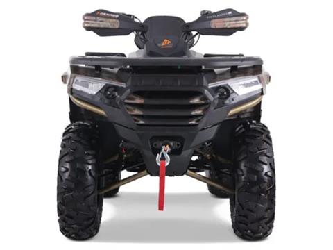 2025 Denago Powersports Freelander 300FI in Vestal, New York - Photo 3