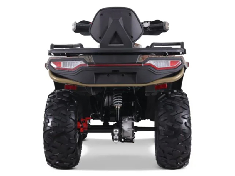 2025 Denago Powersports Freelander 300FI in Vestal, New York - Photo 6