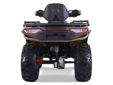 2025 Denago Powersports Freelander 300FI in Vestal, New York - Photo 6