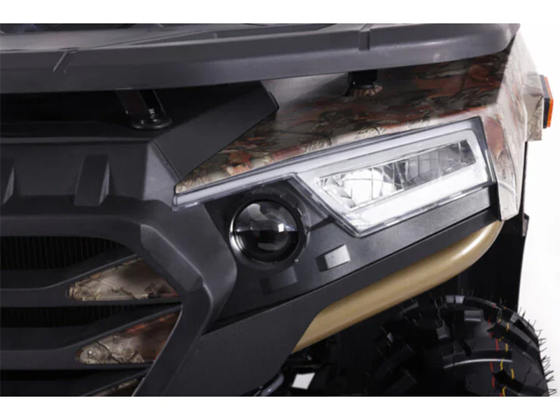 2025 Denago Powersports Freelander 300FI in Vestal, New York - Photo 11