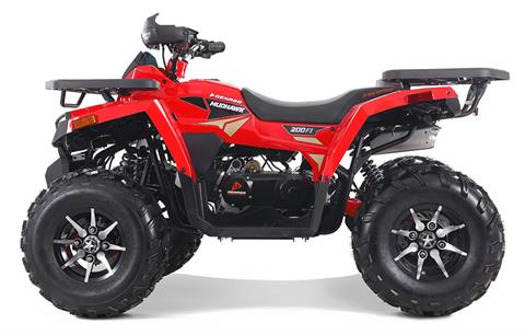 2025 Denago Powersports Mudhawk 200FI
