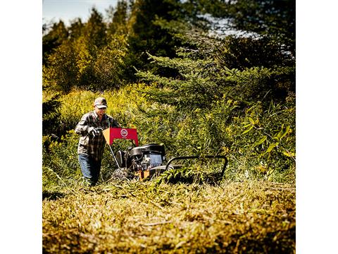 DR Power Equipment PRO 26 in. Briggs & Stratton 10.5 hp in Gaylord, Michigan - Photo 3
