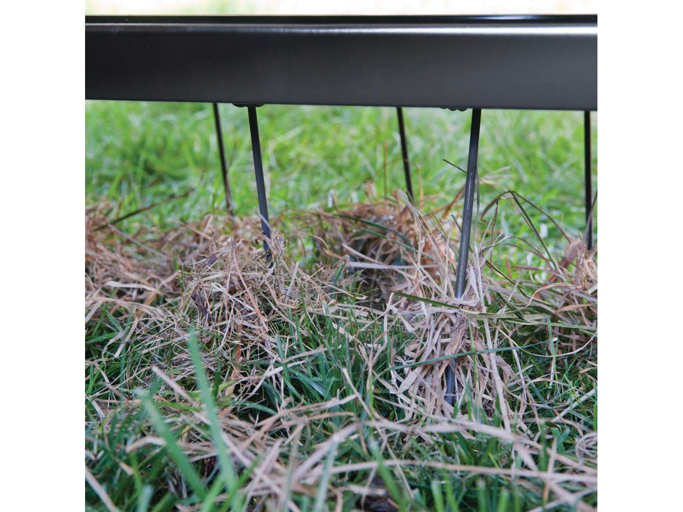 New DR Power Equipment Agri-Fab Tow Behind Lawn Dethatcher 48 in. Black ...