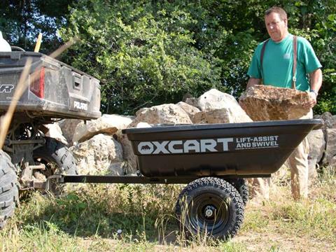 2023 DR Power Equipment OxCart Farm All Dump Cart in Gaylord, Michigan - Photo 3
