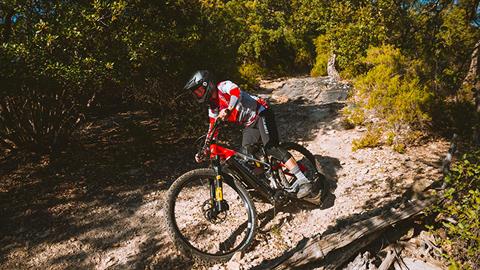 2022 Ducati TK01-RR - XL in Portland, Oregon - Photo 2