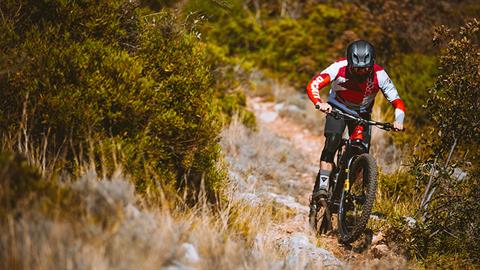 2022 Ducati TK01-RR - XL in Portland, Oregon - Photo 7