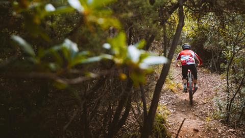 2022 Ducati TK01-RR - XL in Portland, Oregon - Photo 10