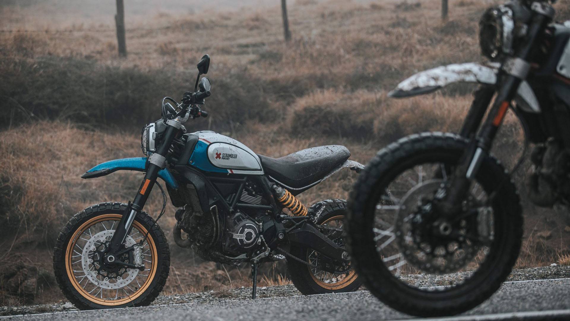 2021 Ducati Scrambler Desert Sled in Billings, Montana - Photo 12