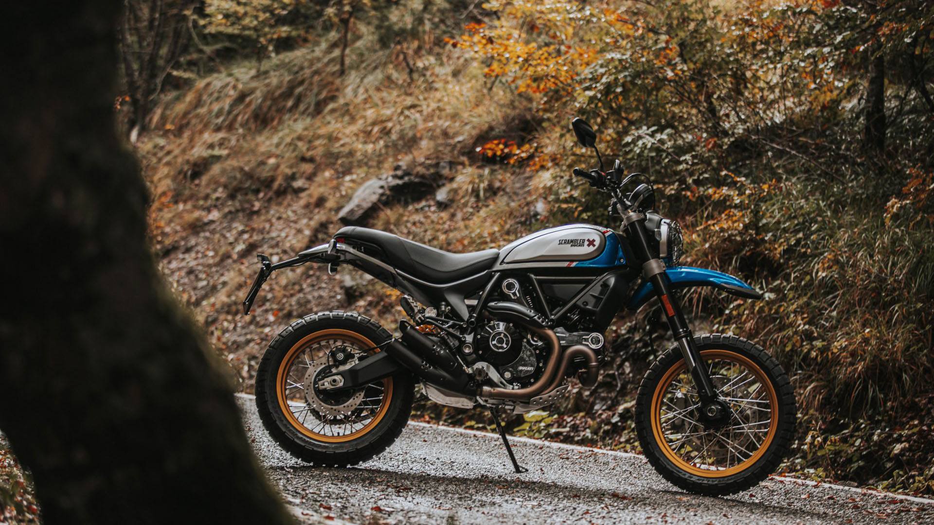 2021 Ducati Scrambler Desert Sled in Billings, Montana - Photo 14
