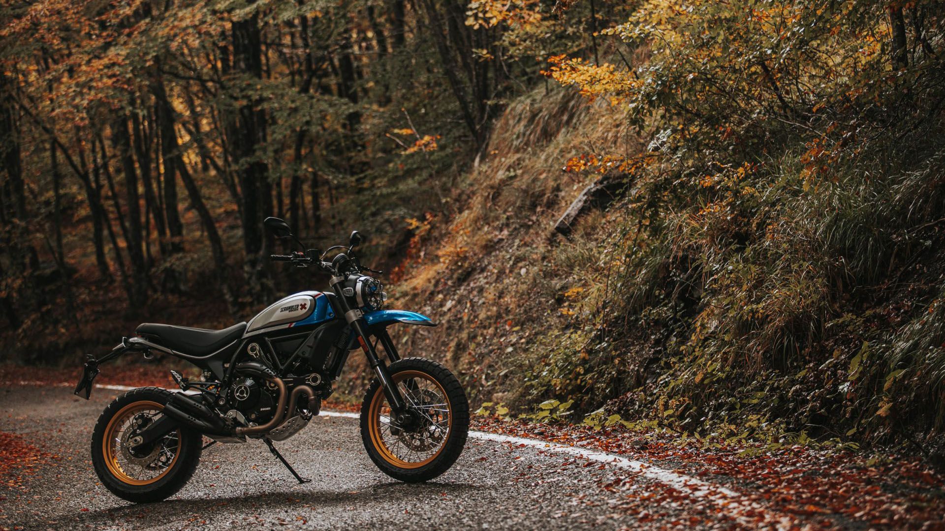 2021 Ducati Scrambler Desert Sled in Billings, Montana - Photo 15