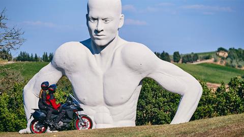 2022 Ducati Multistrada V2 S in Chattanooga, Tennessee - Photo 27