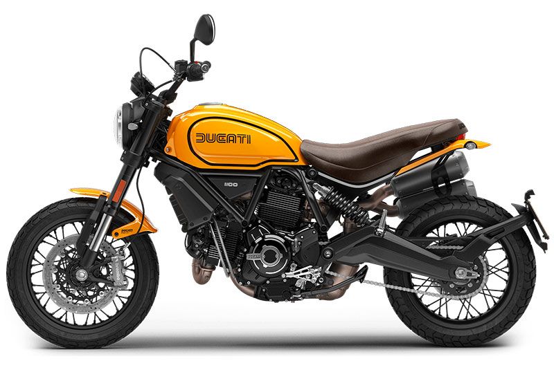2023 Ducati Scrambler 1100 Tribute PRO in Greenville, South Carolina - Photo 2
