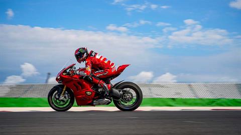 New 2023 Ducati Panigale V4 S Motorcycles in New Haven CT Stock Number