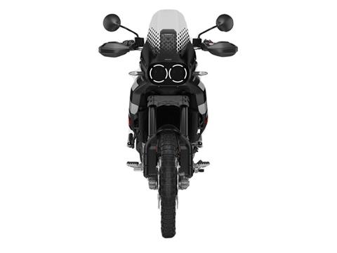 2024 Ducati DesertX in Foxboro, Massachusetts - Photo 5