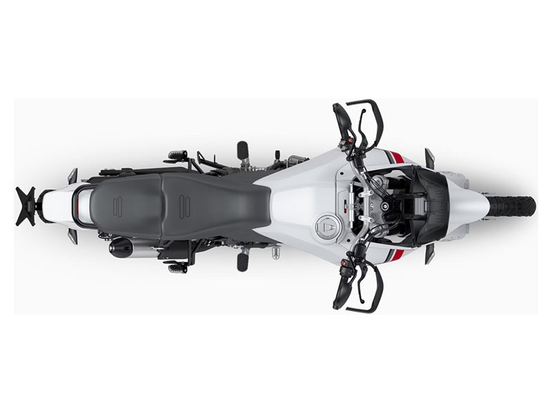 2024 Ducati DesertX in Foxboro, Massachusetts - Photo 9